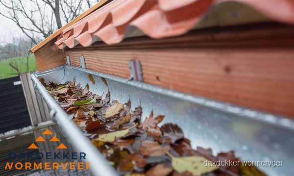 Dakgoot vol bladeren die gereinigd moet worden in Wormerveer
