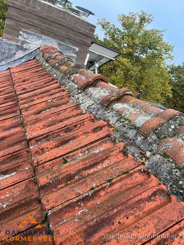 Verweerd hellend dak met mosgroei op nokvorst in Wormerveer