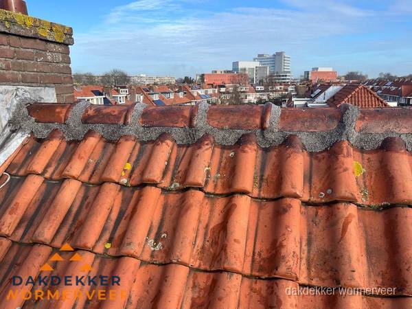 Pannendak met nokvorst en schoorsteen, dakrenovatie in Wormerveer