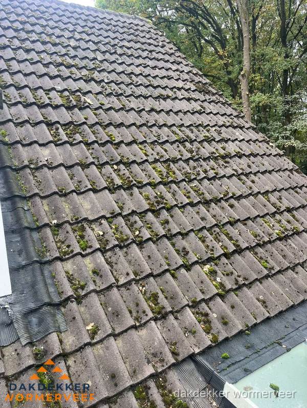 Verweerd pannendak met mosgroei dat renovatie nodig heeft in Wormerveer